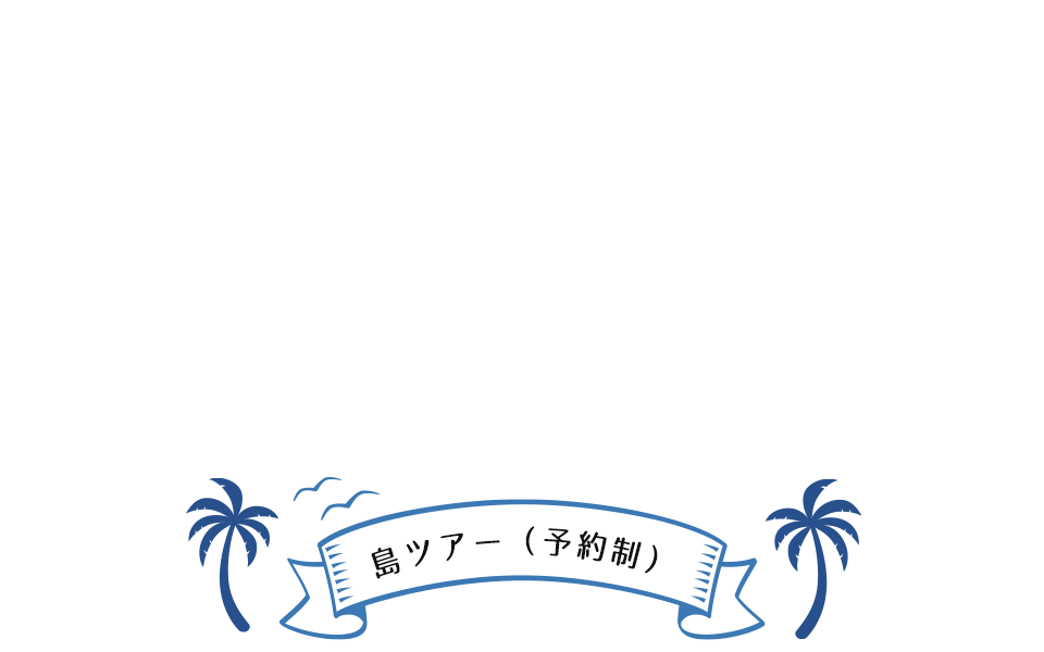 島ツアー（予約制）