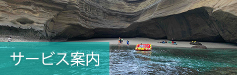 サービス内容